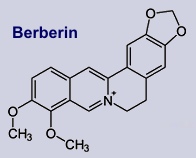 Berberin