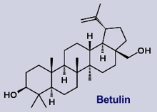 Betulin