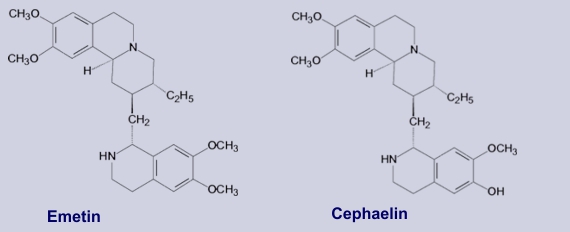 Emetin, Cephaelin