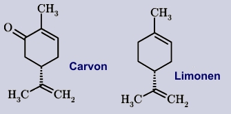 Carvon, Limonen