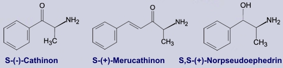 Cathinon - Inhaltsstoffe des Kathstrauches