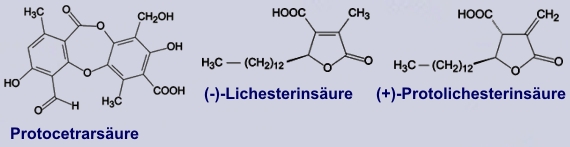 Protocetrarsäure - Inhaltsstoffe des Isländischen Mooses