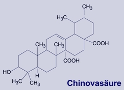 Chinovasäure - Bitterstoff aus Chinarinde