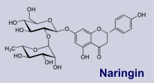Naringin - Inhaltsstoff der Bitterorange