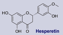 Hesperetin - Inhaltsstoff der Zitrone