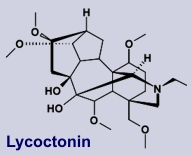 Lycoctonin - Inhaltsstoff des Ackerrittersporns