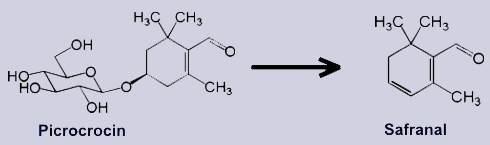 Safranal - Inhaltsstoffe des Safrans