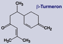 Turmeron - Inhaltsstoff von Kurkuma