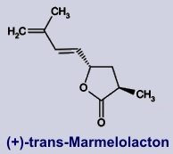 Marmelolacton
