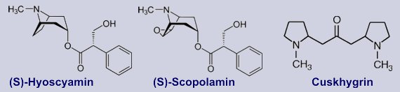 Hyoscyamin, Scopolamin