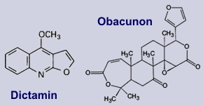 Dictamin