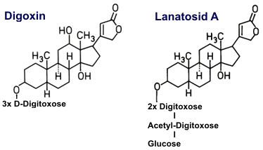Digoxin, Lanatosid A