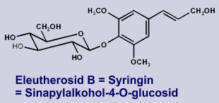  Eleutherosid B