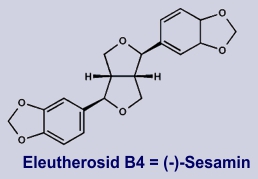 Eleutherosid B4 - Inhaltsstoff der Taigawurzel