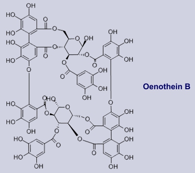 Oenothein B