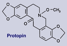 Protopin - Inhaltsstoff des kalifornischen Mohns