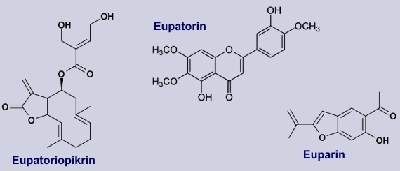 Ausgewählte Inhaltsstoffe von Wasserdost, darunter Euparin und Eupatoriopikrin