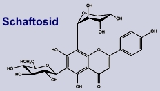 Schaftosid - Inhaltsstoff der Feige