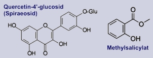 Spiraeosid, Methylsalicylat