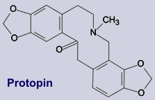 Protopin - Alkaloid aus dem Erdrauch