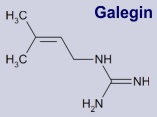 Galegin - Inhaltsstoff der Geissraute