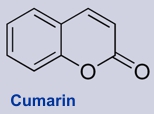 Cumarin - Inhaltsstoff des Waldmeisters