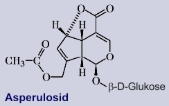 Asperulosid - Inhaltsstoff von Labkraut