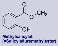 Methylsalicylat - Inhaltsstoff der Scheinbeere