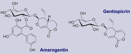 Amarogentin - Inhaltsstoff in gentiana lutea