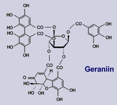 Geraniin