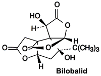 Bilobalid - Inhaltsstoff aus Ginkgo biloba