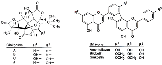 Ginkgolide - Inhaltsstoffe des Ginkgo