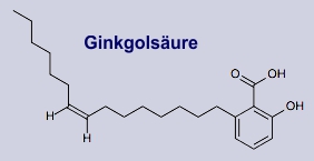 Ginkgolsäure