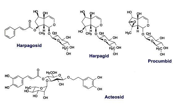 Harpagosid - Strukturformeln von Inhaltsstoffen der Teufelskralle
