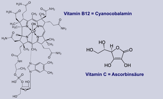 Sanddorn-Vitamine