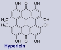 Hypericin