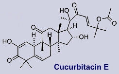 Cucurbitacin E: Inhaltsstoff der Bitteren Schleifenblume