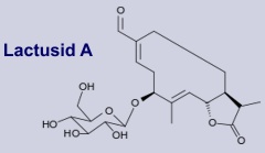 Lactusid A - Inhaltsstoff des Giftlattichs