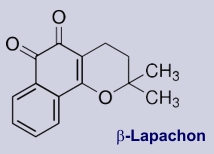 Beta-Lapachon