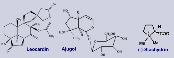 Struktur von Inhaltsstoffen des Herzgespanns