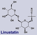 Linustatin