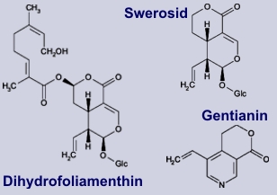 Dihydrofoliamenthin - Inhalststoffe des Fieberklees