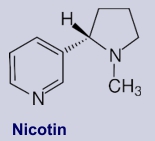 Nicotin - Inhaltsstoff des Tabakes