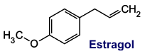 Estragol - Inhaltsstoff des Basilikums
