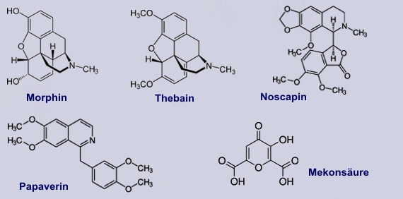 Opium-Alkaloide