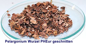 Pelargoniumwurzel