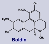 Boldin - Ein Ihaltsstoff von Boldo