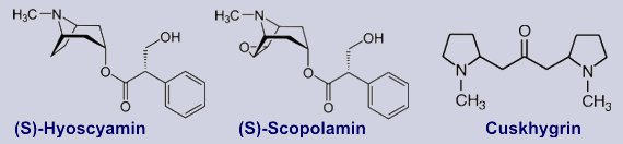 Inhaltsstoffe von Physochlaina physaloides 