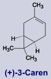 3-Caren - Inhaltsstoff des Kiefernöls