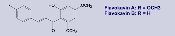 Flavokavin A und B